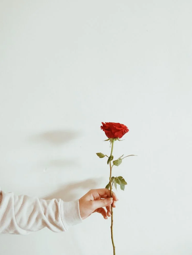 The Warmth of Family Determines the Height of Life